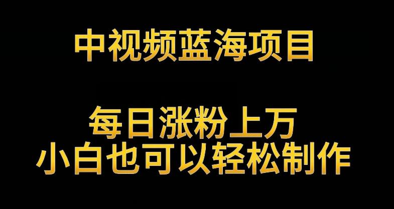 中视频蓝海项目，解读英雄人物生平，每日涨粉上万，小白也可以轻松制作，月入过万不是梦【揭秘】-归鹤副业商城