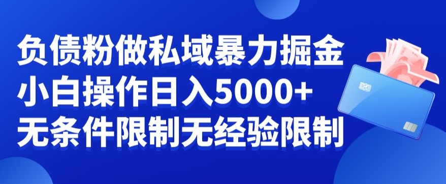 负债粉私域暴力掘金，小白操作入5000，无经验限制，无条件限制【揭秘】-归鹤副业商城