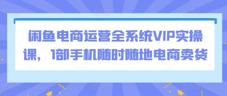 闲鱼电商运营全系统VIP实操课，1部手机随时随地电商卖货-归鹤副业商城