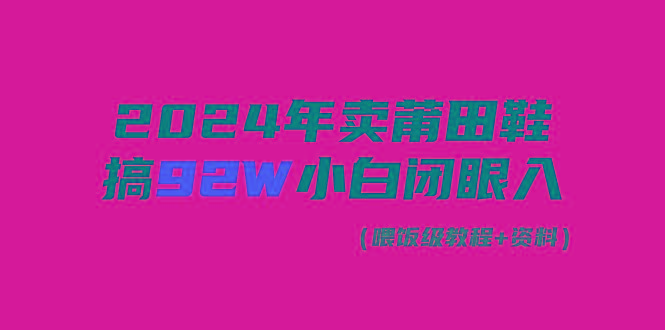 (9329期)2024年卖莆田鞋，搞了92W，小白闭眼操作！-归鹤副业商城