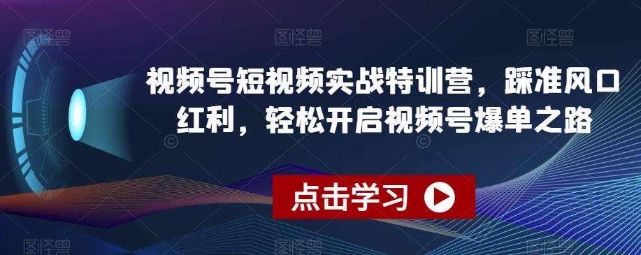 视频号短视频实战特训营，踩准风口红利，轻松开启视频号爆单之路-归鹤副业商城