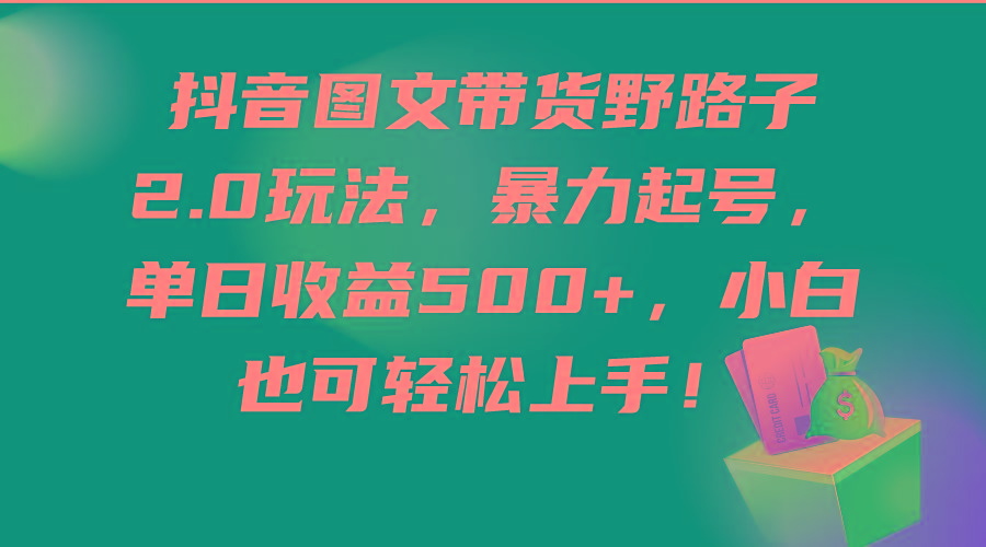 (9790期)抖音图文带货野路子2.0玩法，暴力起号，单日收益500+，小白也可轻松上手！-归鹤副业商城