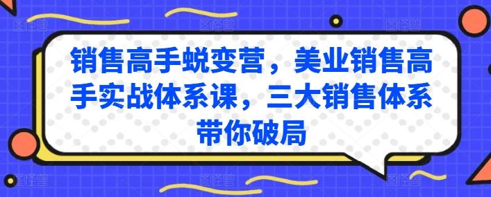 销售高手蜕变营，美业销售高手实战体系课，三大销售体系带你破局-归鹤副业商城