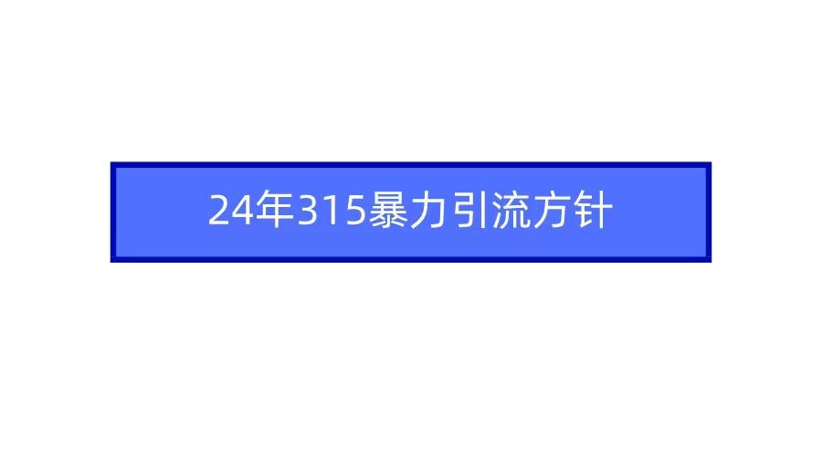 (9398期)2024年315暴力引流方针-归鹤副业商城