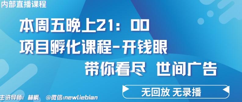 4.26日内部回放课程《项目孵化-开钱眼》赚钱的底层逻辑【揭秘】-归鹤副业商城