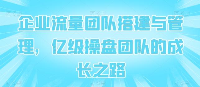 企业流量团队搭建与管理，亿级操盘团队的成长之路-归鹤副业商城