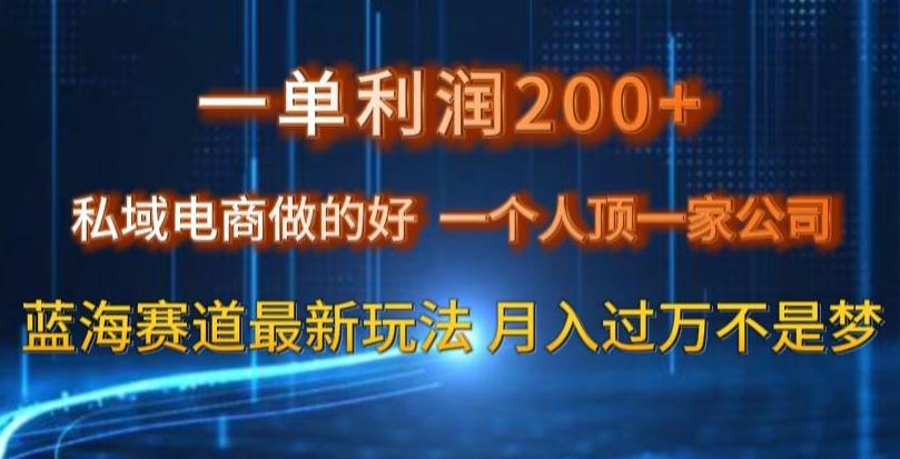 一单利润200私域电商做的好，一个人顶一家公司蓝海赛道最新玩法【揭秘】-归鹤副业商城