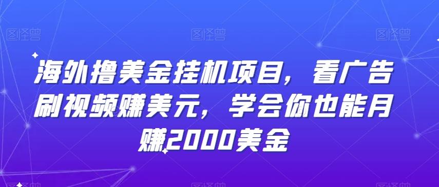 海外撸美金挂机项目，看广告刷视频赚美元，学会你也能月赚2000美金-归鹤副业商城