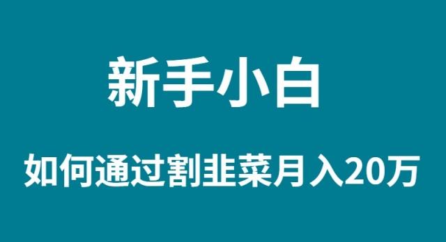 (9308期)新手小白如何通过割韭菜月入 20W-归鹤副业商城