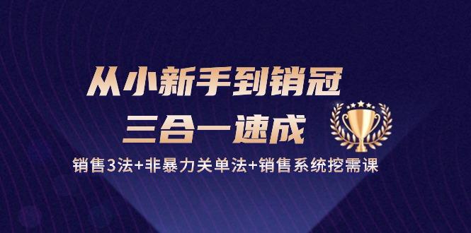 从小新手到销冠 三合一速成：销售3法+非暴力关单法+销售系统挖需课 (27节-归鹤副业商城