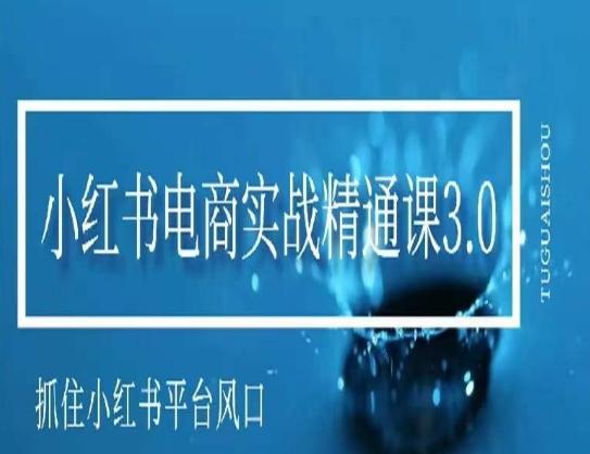 小红书电商实战精通课3.0，抓住小红书平台的风口，不错过有一个赚钱的机会-归鹤副业商城