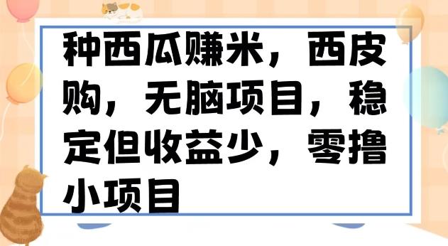 种西瓜赚米，西皮购稳定长久零撸小项目-归鹤副业商城