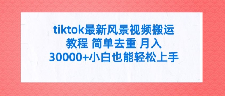 tiktok最新风景视频搬运教程 简单去重 月入3W+小白也能轻松上手【揭秘】-归鹤副业商城