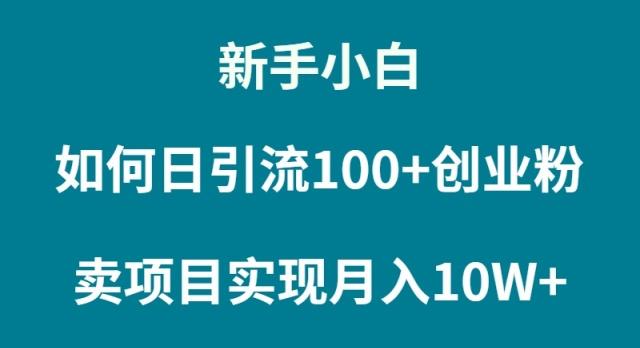 (9556期)新手小白如何通过卖项目实现月入10W+-归鹤副业商城