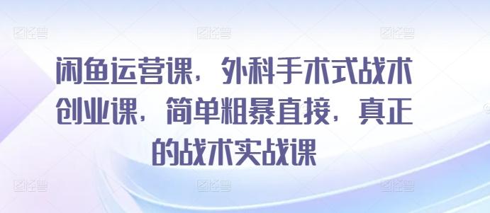 闲鱼运营课，外科手术式战术创业课，简单粗暴直接，真正的战术实战课-归鹤副业商城