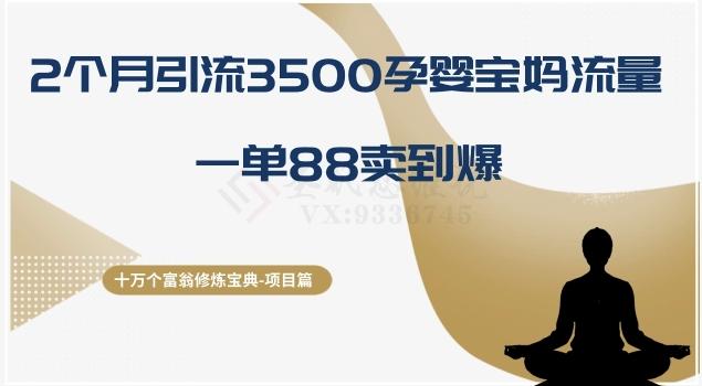 十万个富翁修炼宝典之13.2个月引流3500孕婴宝妈流量，一单88卖到爆-归鹤副业商城