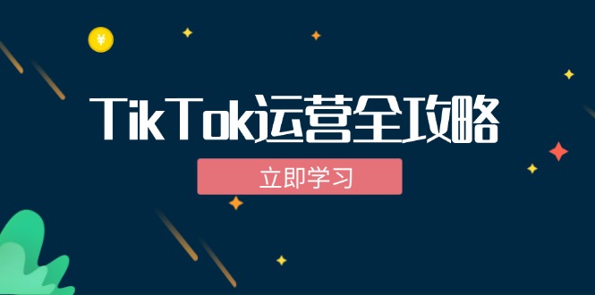 TikTok实战运营全攻略：从下载软件到变现，抖音海外版实操教程-归鹤副业商城